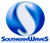 SOURTHERN WAVES Solution Logotype