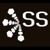 SpiderSavvy Logotype