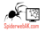 Spiderweb Computers Logotype