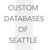 Custom Databases of Seattle Logotype