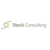 Steck Consulting Logotype