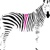 Stripeyhorse Creative Logotype