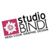 Studio Bindi Graphics Logotype