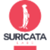 Suricata Digital Logotype