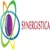 Synergistica Logotype