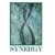 Synergy Computer Solutions Logotype