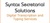Syntax Secretarial Solutions Logotype