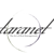 Taranet Logotype