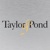 Taylor & Pond Interactive Logotype