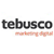 Tebusco Logotype