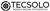 Tecsolo Logotype