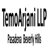TemoArjani Logotype