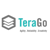 TeraGo Logotype