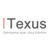 Texus Logotype