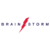 The BrainStorm Group Logotype