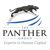 The Panther Group Logotype