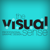 THE VISUAL SENSE Logotype