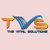 The Vital Solutions Logotype
