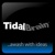 TidalBrain Web Design Logotype