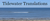 Tidewater Translations, Inc. Logotype