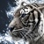 Tiger SEO Marketing Logotype