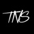The New Standard Logotype