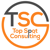 Top Spot Consulting Logotype