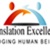 Translation Excellence Logotype
