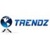 Trendz Web Solution Logotype