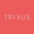 Tribus Digital Logotype