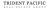 Trident Pacific Real Estate Group, Inc. Logotype