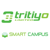 Tritiyo Limited Logotype