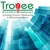 Troyee Software Logotype