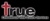 True Commercial Real Estate Services Logotype