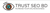 Trust SEO BD Logotype