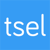 TuSitioEnLinea Logotype