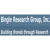 Bingle Research Group LLC Logotype