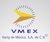 Varig de México S.A. de C.V. Logotype