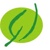 Verdant Zeal Logotype