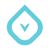 VeriSolutions Logotype