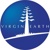 virgin earth Logotype