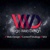 Virgo Web Design Logotype