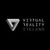 Virtual Reality Ireland Logotype