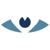 Vision Design Group, Inc. Logotype