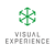 Visual Experience Logotype