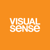 Visual Sense Logotype