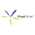 Visual Terraine Logotype