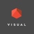 Visual VR Logotype