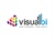 VISUAL BI SOLUTIONS Logotype