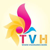 The Visual House Logotype